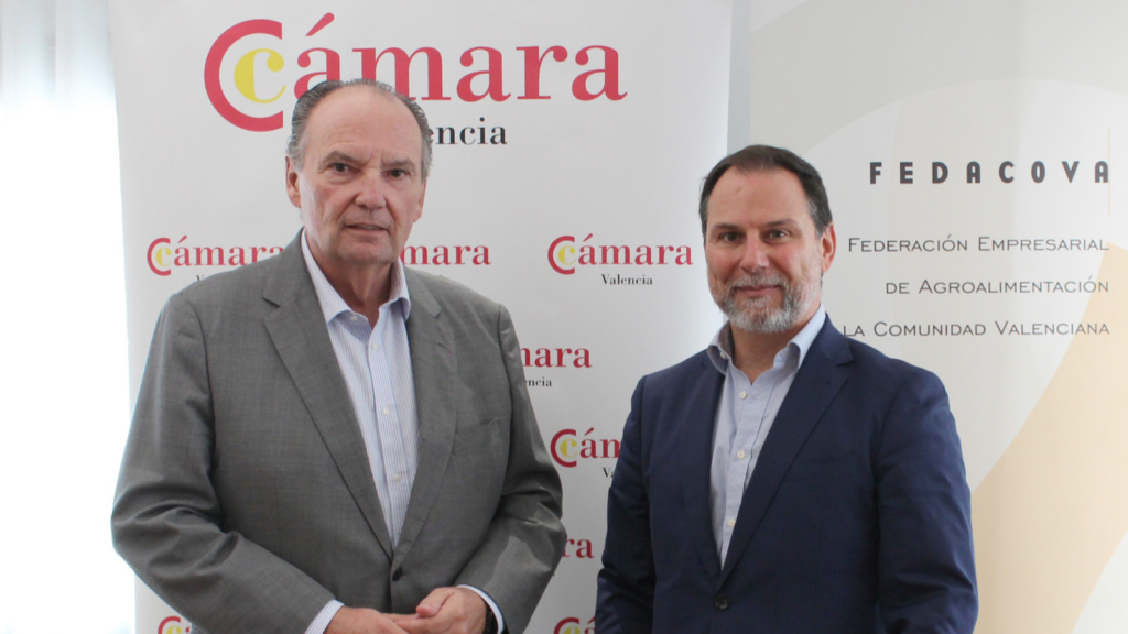 cámara comercio